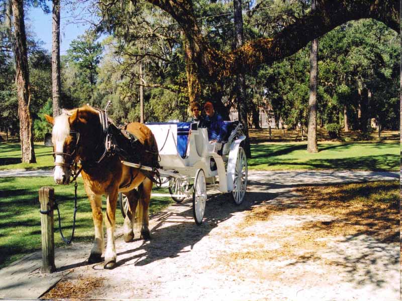 Worldwide Travel and Photo Gallery